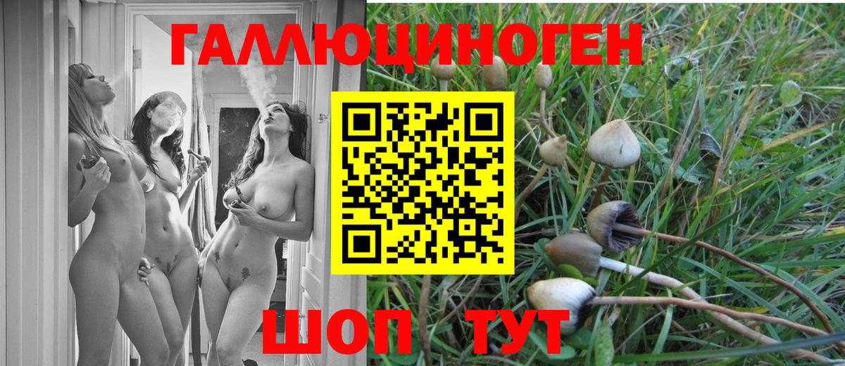 Галлюциногенные грибы Magic Shrooms  Галлюциногенные грибы мухоморы  Вход с VPN  Моздок 